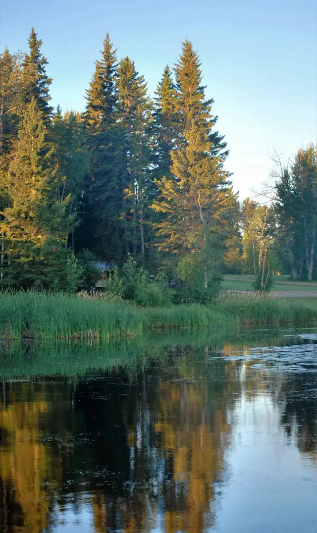 LAKE LOT for sale on Buck Lake - Photo 3