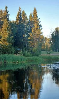 LAKE LOT for sale on Buck Lake - Photo 3