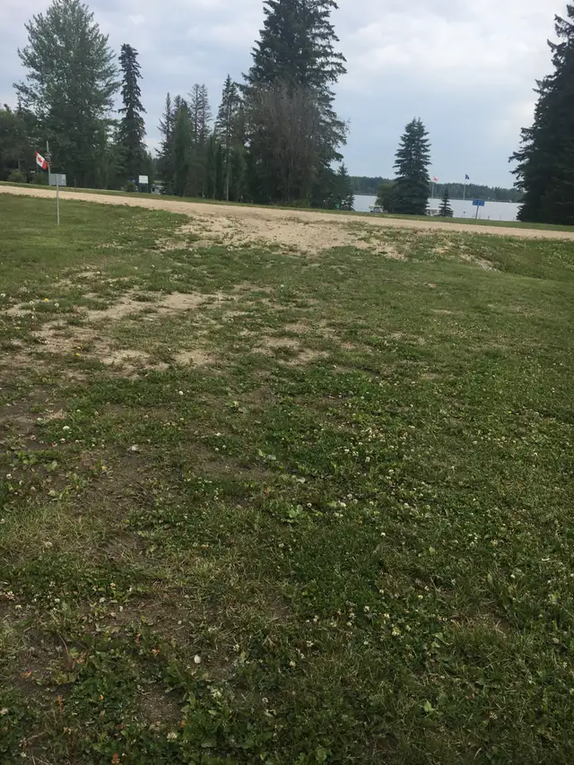 LAKE LOT for sale on Buck Lake - Photo 5