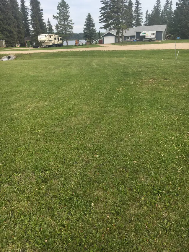 LAKE LOT for sale on Buck Lake - Photo 6