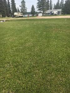 LAKE LOT for sale on Buck Lake - Photo 6