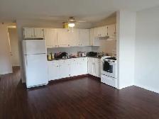 SPACIOUS – RENOVATED – PET FRIENDLY - Photo 4