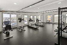1 Bedroom Units available - Photo 4