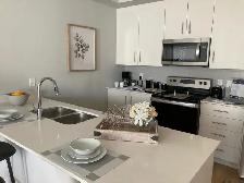 1 Bedroom Units available - Photo 5