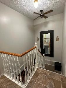 ATTENTION TRENT STUDENTS – 3 Bdrm - Prime Reid St Location - Photo 5