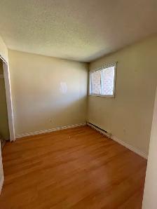 ATTENTION TRENT STUDENTS – 3 Bdrm - Prime Reid St Location - Photo 6