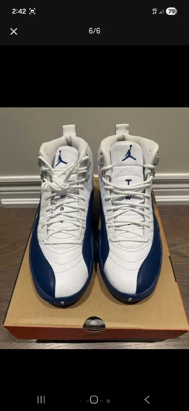 Air Jordan 12 Retro White/French