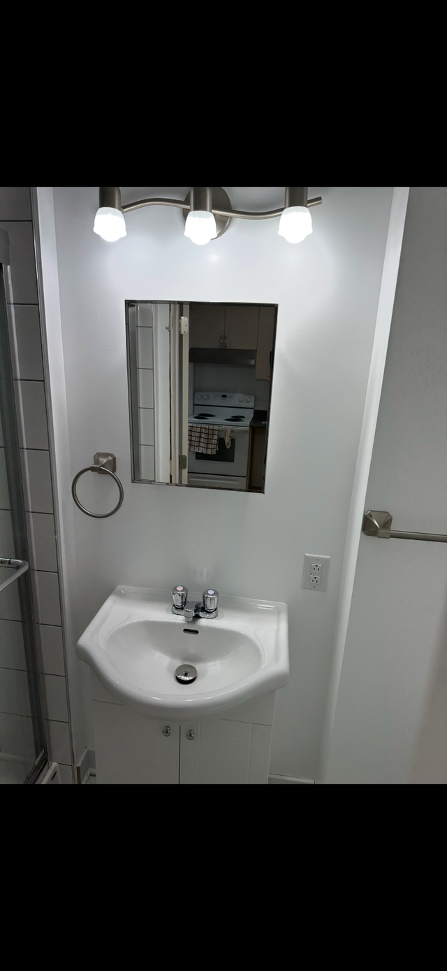 MÉTRO ET PARC LAURIER, TRÈS BEAU 3 1/2 2ÈME ÉTAGE RUE BOYER - Photo 12