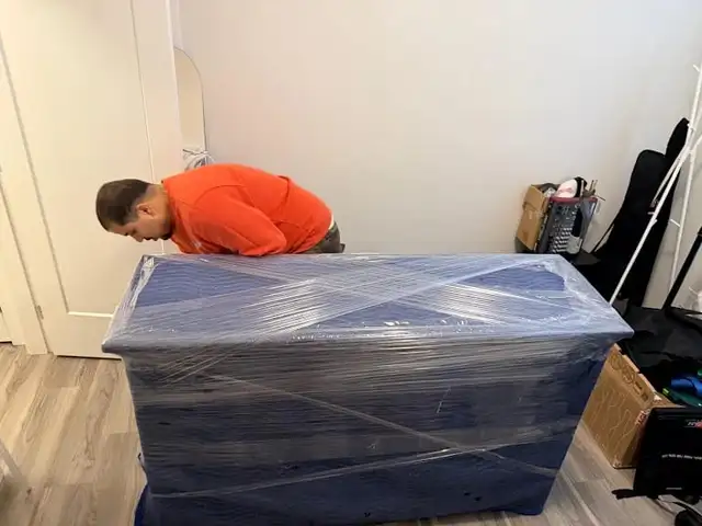 Movers Movers & Packers Movers Moving Movers ☎️ 64.7424.53.00 - Photo 3