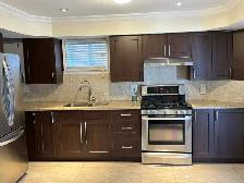 ⭐️ Bright 1-Bedroom Walkout separate entrance  upper Thornhill