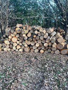 Camping Wood for Sale