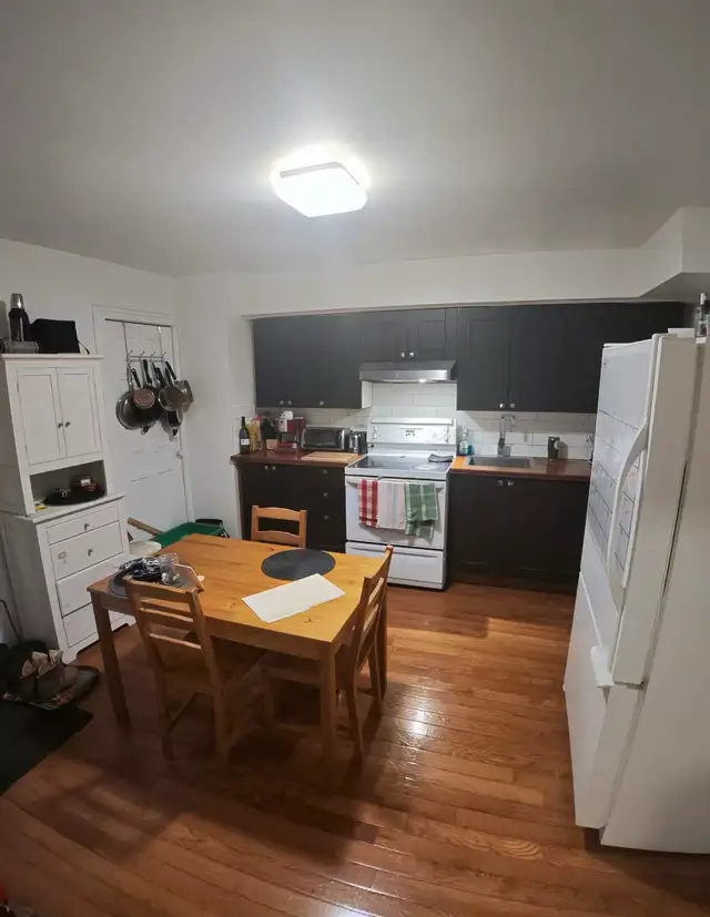 4.5 next to Metro Beaubien (Avail May / 2 closed bedrooms) - Photo 4