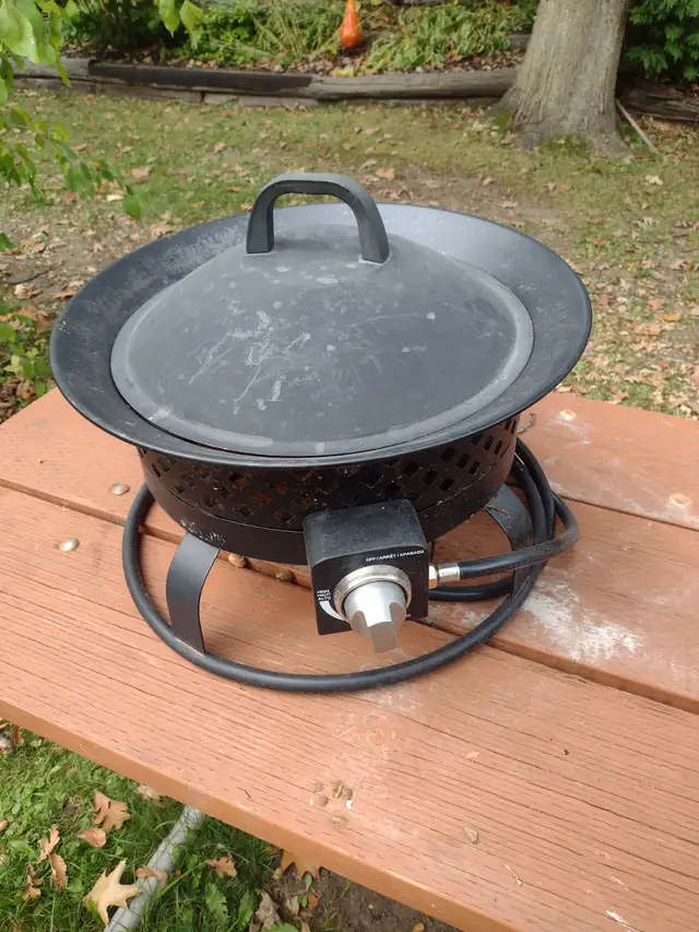 Propane firepit - Photo 7