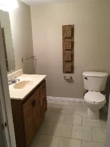 3 Beds,2 Bath,Finished Basement,Appliances,A.C.Garage,Patio,Town - Photo 12