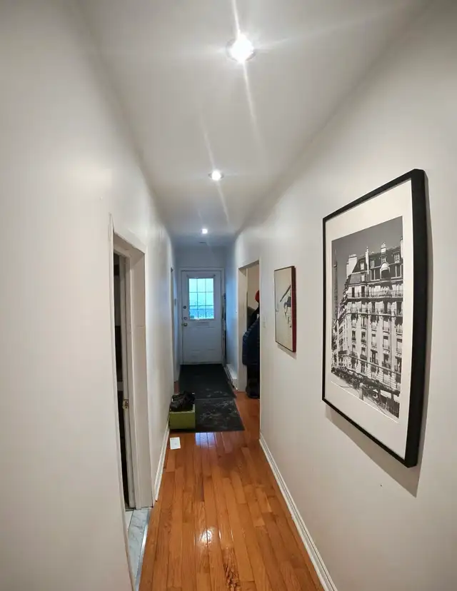 4.5 Petite Patrie next to Beaubien metro (avail May / 2 closed - Photo 8