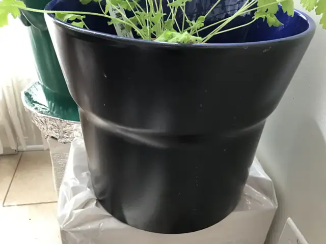 Pots de fleurs et légumes - Photo 4