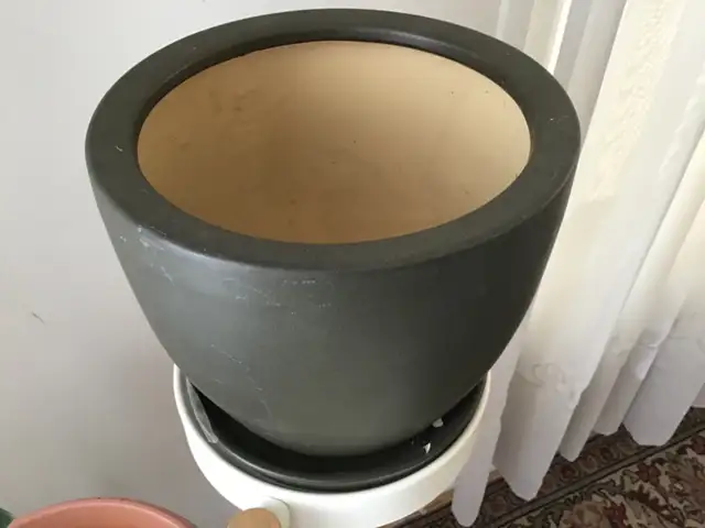 Pots de fleurs et légumes - Photo 6