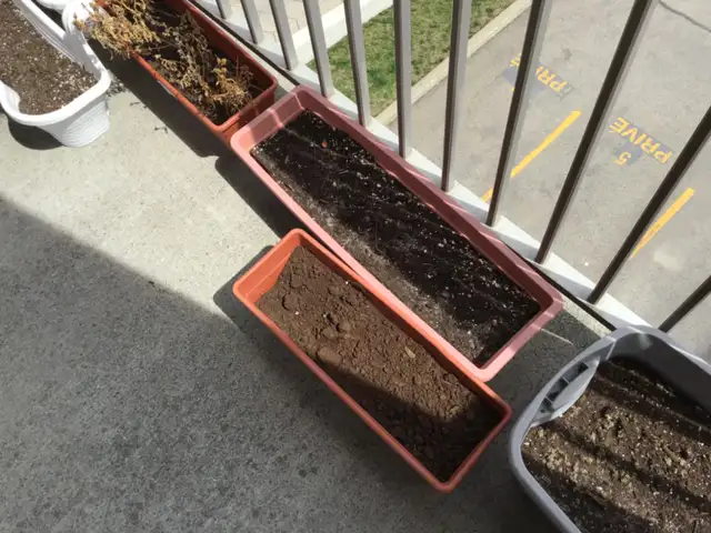 Pots de fleurs et légumes - Photo 9