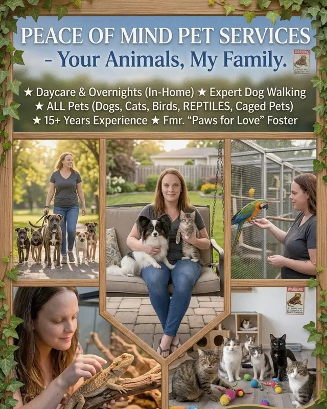 Are you looking for a PET-SITTER?!?