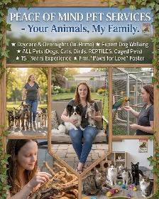 Are you looking for a PET-SITTER?!?