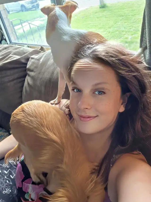 Are you looking for a PET-SITTER?!? - Photo 3