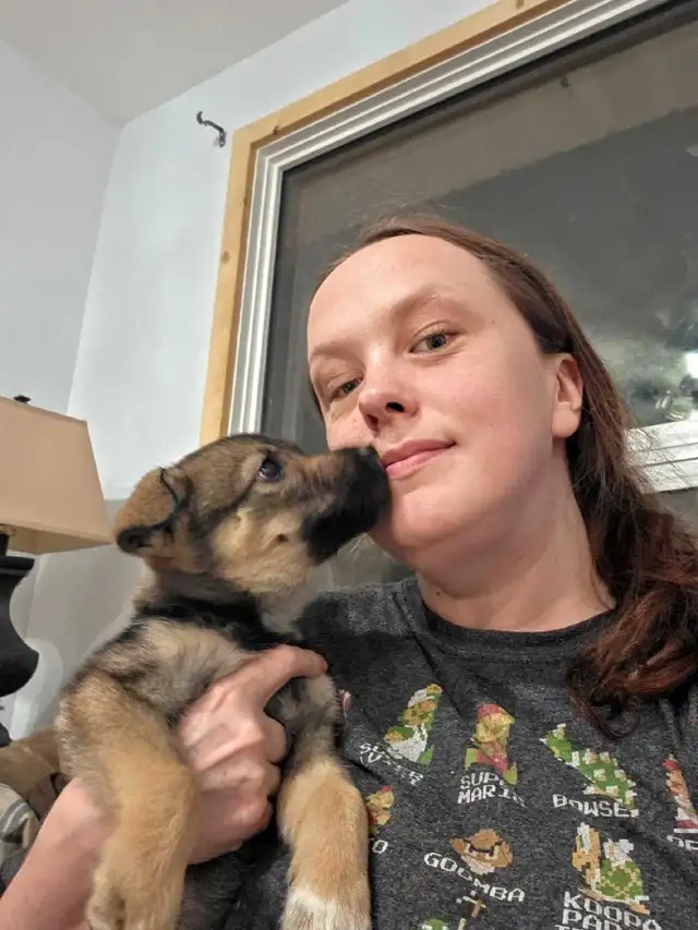 Are you looking for a PET-SITTER?!? - Photo 4