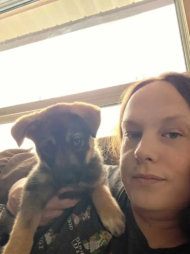 Are you looking for a PET-SITTER?!? - Photo 5