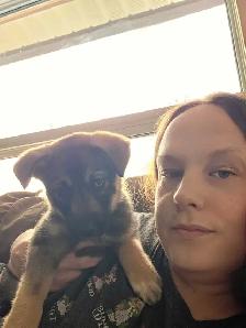 Are you looking for a PET-SITTER?!? - Photo 5