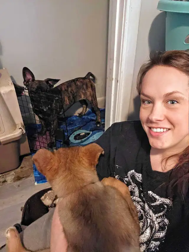 Are you looking for a PET-SITTER?!? - Photo 6