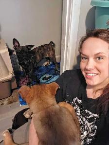 Are you looking for a PET-SITTER?!? - Photo 6