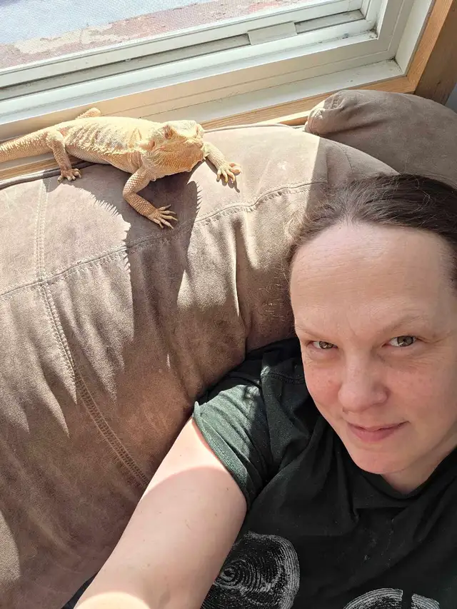 Are you looking for a PET-SITTER?!? - Photo 7