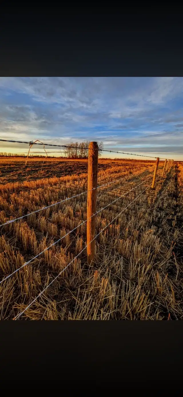 Fence installer - Photo 3