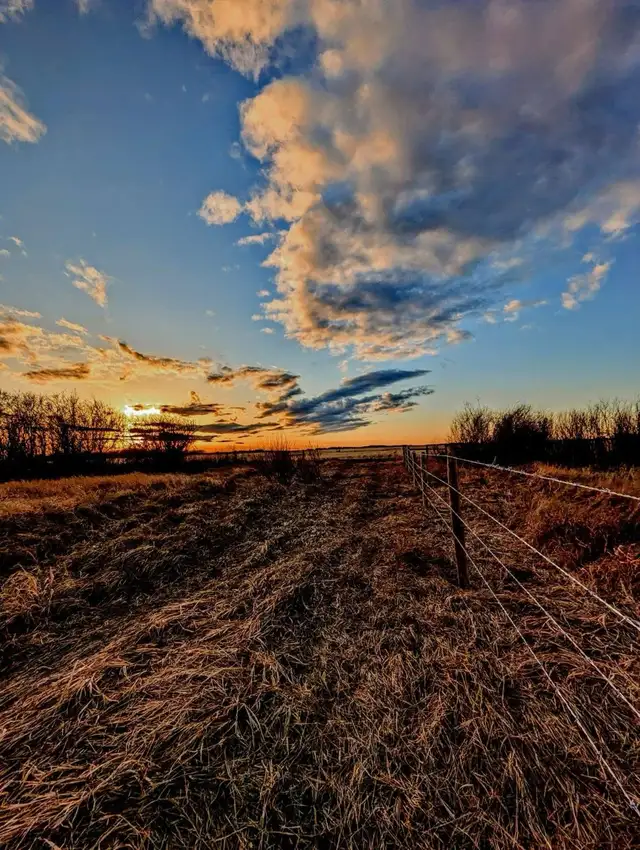 Fence installer - Photo 4