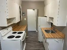 506 Balmoral - 1 BR available NOW! - Photo 3