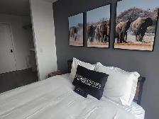 Furnished 2BR in Toronto | All Inclusive | Weekly stays - Photo 4
