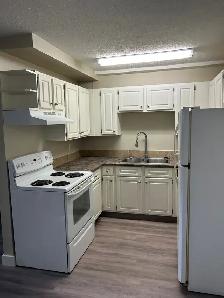 2-BEDROOM COZY • QUIET • PET-FRIENDLY