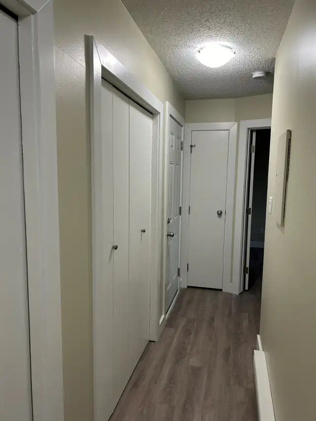 2-BEDROOM COZY • QUIET • PET-FRIENDLY - Photo 8