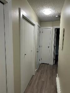 2-BEDROOM COZY • QUIET • PET-FRIENDLY - Photo 8