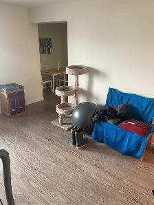 3 Bed 1.5 Bath Apartment in Grant Park Available May 4! - Photo 2