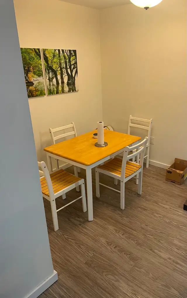 3 Bed 1.5 Bath Apartment in Grant Park Available May 4! - Photo 3