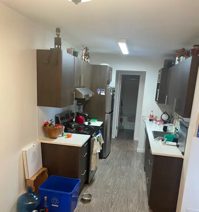 3 Bed 1.5 Bath Apartment in Grant Park Available May 4! - Photo 4