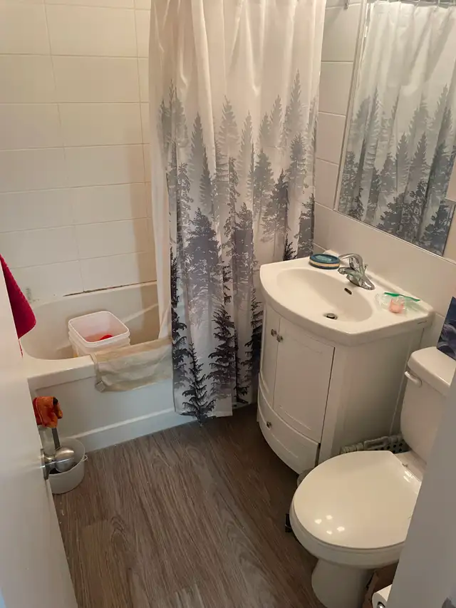 3 Bed 1.5 Bath Apartment in Grant Park Available May 4! - Photo 5