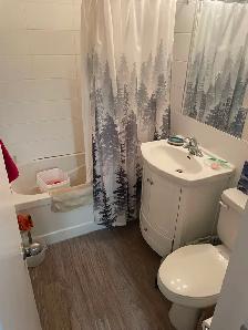 3 Bed 1.5 Bath Apartment in Grant Park Available May 4! - Photo 5
