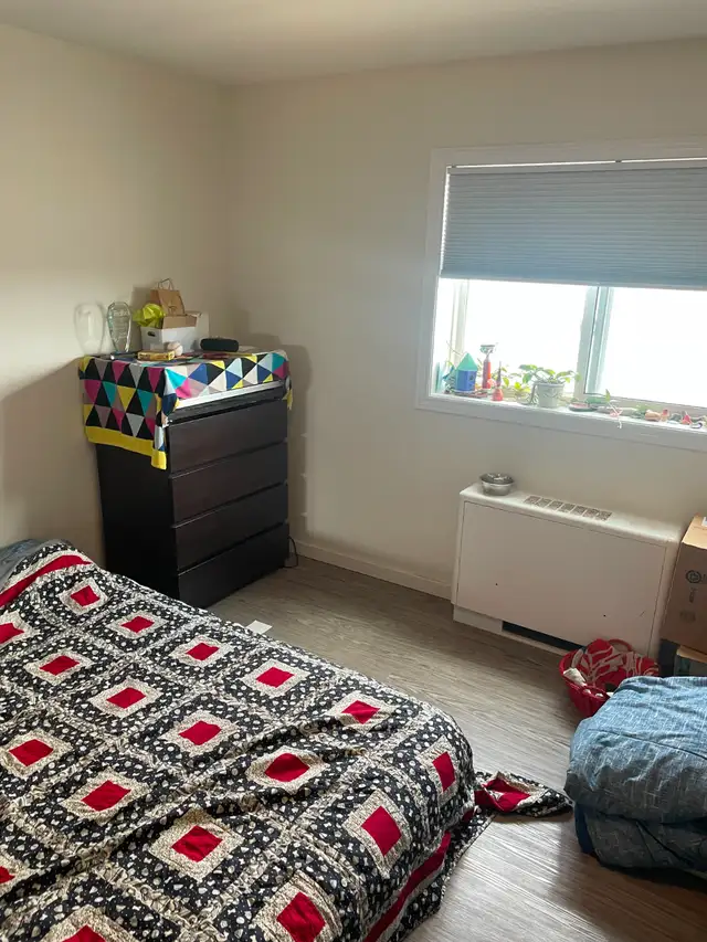 3 Bed 1.5 Bath Apartment in Grant Park Available May 4! - Photo 6