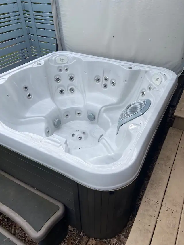 Hydropool Hot Tub - Photo 4