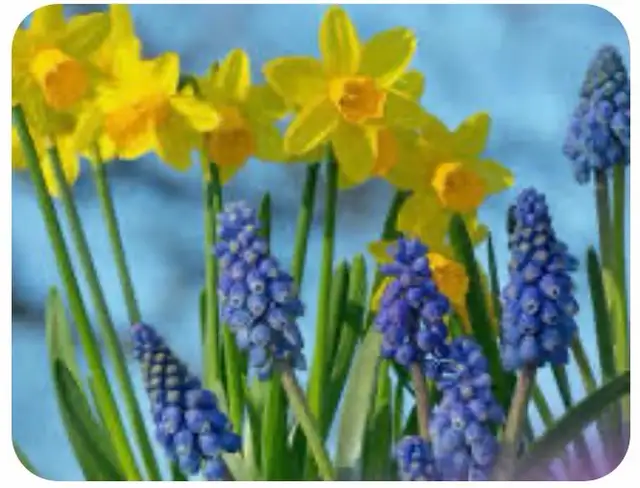 MOST STABLE TV - 4K CHANNELS: Call NOW!  647-331-3038