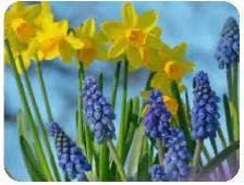 MOST STABLE TV - 4K CHANNELS: Call NOW!  647-331-3038