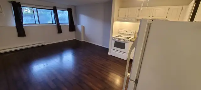 ✨ COZY • QUIET • PET-FRIENDLY ✨ - Photo 2