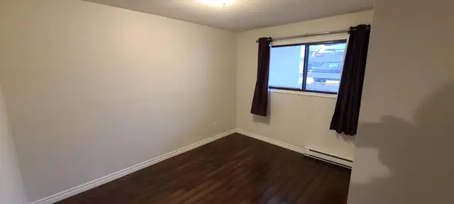 ✨ COZY • QUIET • PET-FRIENDLY ✨ - Photo 6