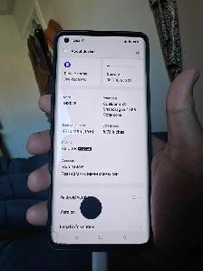 Lost Phone, Wallet, and House Key